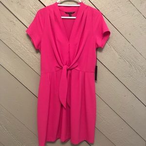 NWT Pink Dress with tie front